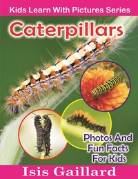 Caterpillars Photos and Fun Facts for Kids