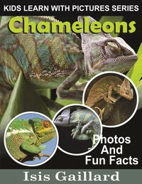 Chameleons Photos and Fun Facts for Kids