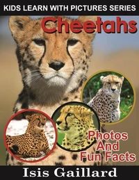 Cheetahs Photos and Fun Facts for Kids