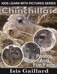 Chinchillas Photos and Fun Facts for Kids