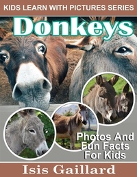  Isis Gaillard - Donkeys Photos and Fun Facts for Kids - Kids Learn With Pictures, #94.