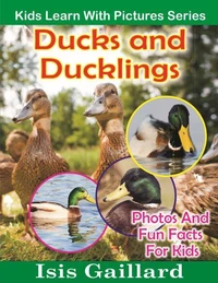Ducks and Ducklings Photos and Fun Facts for Kids