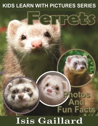 Ferrets Photos and Fun Facts for Kids