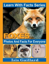 Foxes Photos and Facts for Everyone