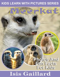 Meerkat Photos and Fun Facts for Kids