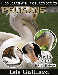 Isis Gaillard - Pelicans Photos and Fun Facts for Kids - Kids Learn With Pictures, #64.
