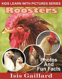 Roosters Photos and Fun Facts for Kids