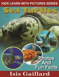 Sea Turtles Photos and Fun Facts for Kids