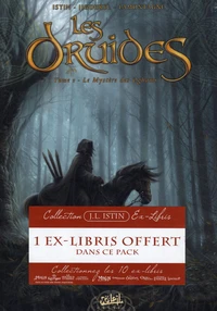 Le mystère des Oghams