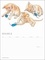 Les chats d'Isy. Calendrier perpétuel 52 semaines