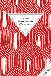 Itamar Vieira Junior - Charrue tordue.