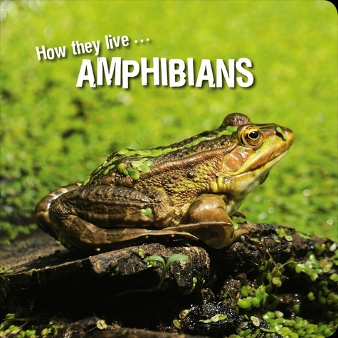  Ivan Esenko et  David Withrington - How they live... Amphibians - Learn All There Is to Know About These Animals!.