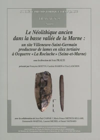 Le Néolithique ancien dans la basse vallée de la Marne : un site Villeneuve-Saint-Germain producteur de lames en silex tertiaire à Ocquerre "La Rocluche" (Seine-et-Marne)