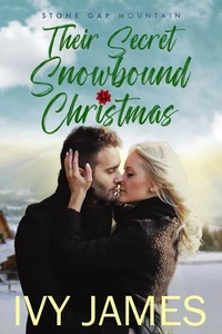 Their Secret Snowbound Christmas