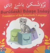 Burushaki Qaida