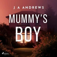 Mummy's Boy: A dark domestic thriller about a mother haunted by her son's disappearance