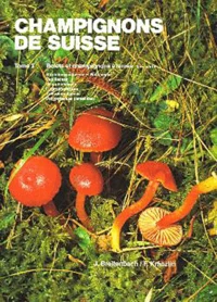 Champignons de Suisse