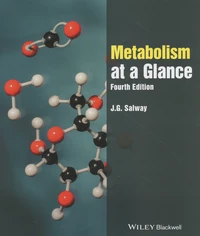 Metabolism at a Glance