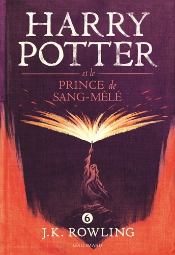 Harry Potter Tome 6 Harry Potter et le Prince de Sang-Mêlé