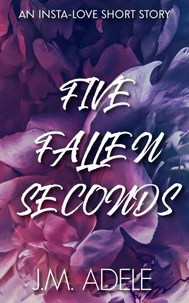Five Fallen Seconds
