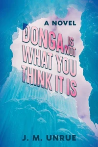 A Donga Is Not What You Think It Is