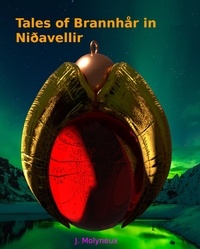  J Molyneux - Tales of Brannhår  in Niðavellir - Blank Magic, #5.