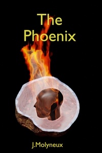  J Molyneux - The Phoenix - Blank Magic, #1.