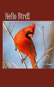  J. P. Steed - Northern Cardinal - Hello Bird!.