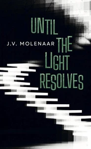 Until the Light Resolves
