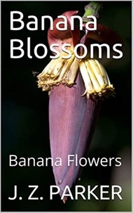  J. Z. Parker - Banana Blossoms: Banana Flowers.