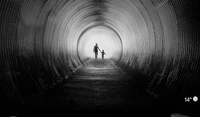 Essays über das zeitgenössische Leben