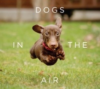 Jack Bradley - Dogs in the Air.