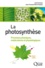 La photosynthèse. Processus physiques, moléculaires et physiologiques