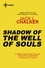 Shadow of the Well of Souls