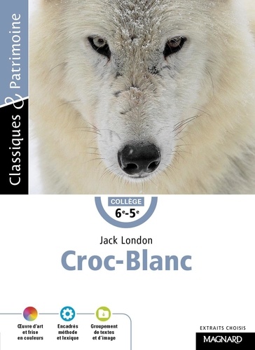 Croc-blanc de Jack London - Poche - Livre - Decitre