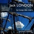 Jack London et Pierre-François Garel - Le Loup des mers.