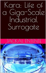 Kara: Life of a Giga-Scale Industrial Surrogate