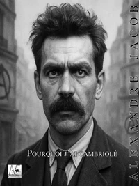 Pourquoi j'ai cambriolé