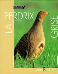 La Perdrix grise