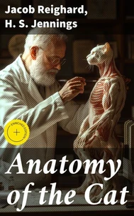 Anatomy of the Cat