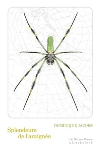 Splendeurs de l'araignée