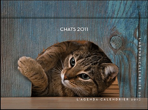 Agenda Calendrier Chats 2011 De Jacqueline Lasry Livre Decitre