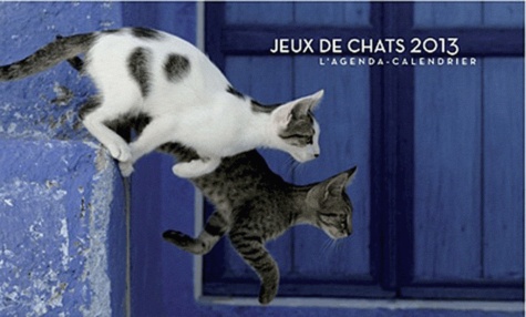 Jacqueline Lasry - Jeux de chats 2013 - L'agenda-calendrier.
