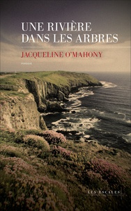Jacqueline O'Mahony - Une rivière dans les arbres.