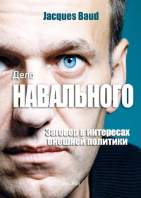 The Navalny Case