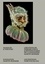 Masques et théâtre. Créations de Werner Strub et éditions rares de la Fondation Martin Bodmer