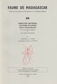 Insectes diptères culicidae culicinae