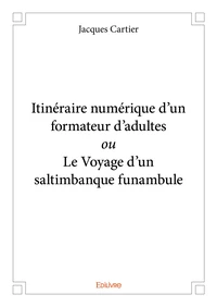 Itinéraire numérique d’un formateur d’adultes ou le voyage d'un saltimbanque funambule