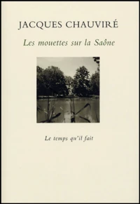 Les mouettes sur la Saône