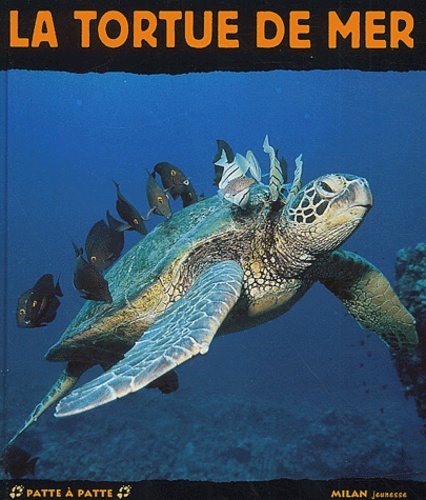 Jacques Fretey - La Tortue De Mer.